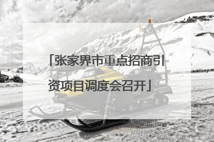 张家界市重点招商引资项目调度会召开